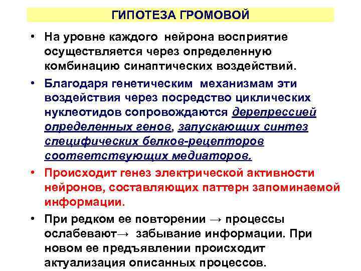 ГИПОТЕЗА ГРОМОВОЙ • На уровне каждого нейрона восприятие осуществляется через определенную комбинацию синаптических воздействий.