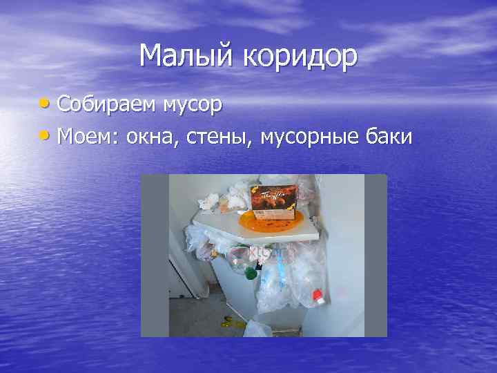 Малый коридор • Собираем мусор • Моем: окна, стены, мусорные баки 