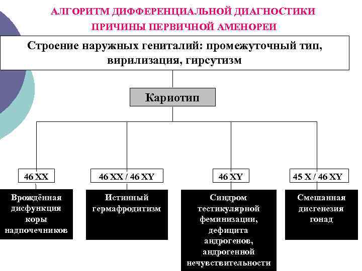 АЛГОРИТМ ДИФФЕРЕНЦИАЛЬНОЙ ДИАГНОСТИКИ ПРИЧИНЫ ПЕРВИЧНОЙ АМЕНОРЕИ Строение наружных гениталий: промежуточный тип, вирилизация, гирсутизм Кариотип