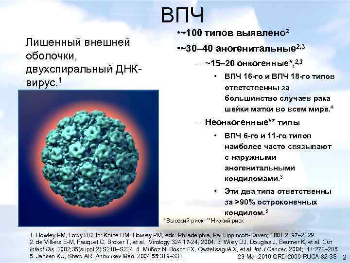 ВПЧ Лишенный внешней оболочки, двухспиральный ДНК вирус. 1 • ~100 типов выявлено 2 •