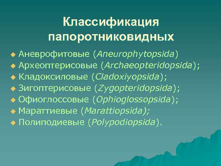 Классификация папоротниковидных Аневрофитовые (Aneurophytopsida) u Археоптерисовые (Archaeopteridopsida); u Кладоксиловые (Cladoxiyopsida); u Зигоптерисовые (Zygopteridopsida); u