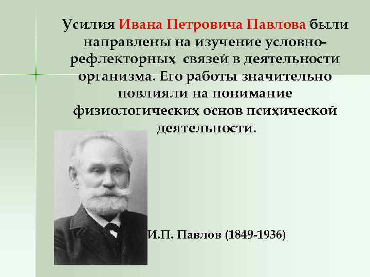 Усилия Ивана Петровича Павлова были направлены на изучение условнорефлекторных связей в деятельности организма. Его