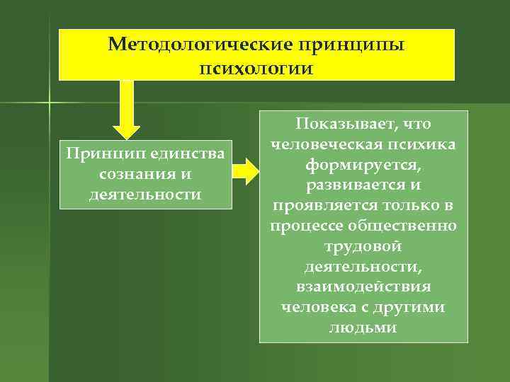 Трудовая деятельность и сознание человека. Методологический принцип единства психики и деятельности. Психика формируется и развивается в деятельности. Методологические принципы юридической психологии. Основные методологические принципы анатомии.