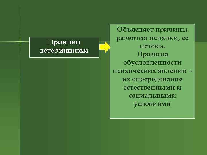 Принцип детерминизма Объясняет причины развития психики, ее истоки. Причина обусловленности психических явлений – их