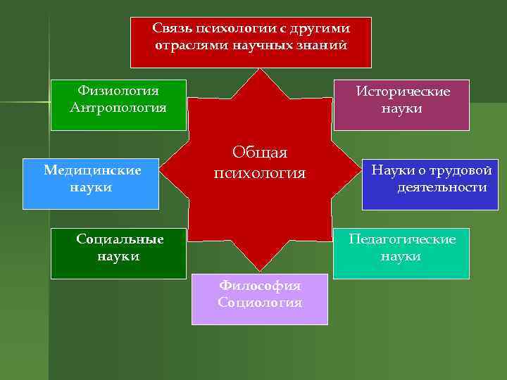 Связь психологии с другими отраслями научных знаний Физиология Антропология Медицинские науки Исторические науки Общая