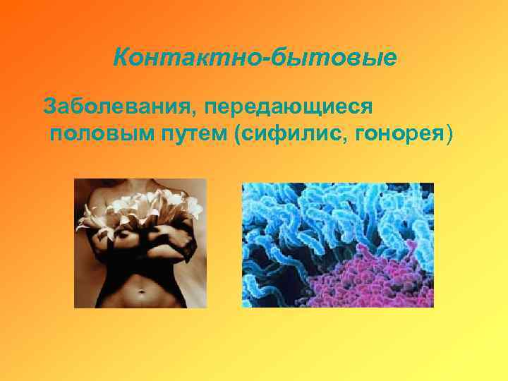 Контактно-бытовые Заболевания, передающиеся половым путем (сифилис, гонорея) 