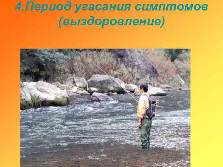 4. Период угасания симптомов (выздоровление) 