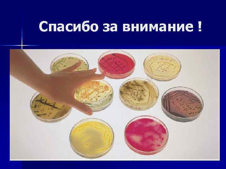 Спасибо за внимание ! 