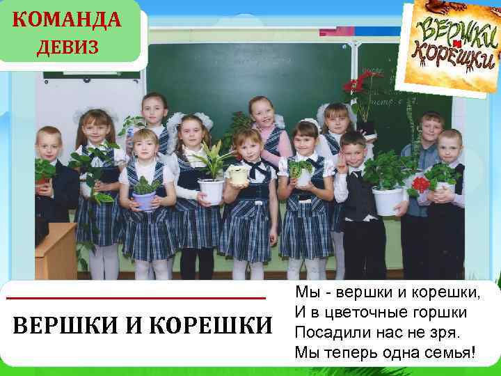 КОМАНДА ДЕВИЗ ВЕРШКИ И КОРЕШКИ Мы - вершки и корешки, И в цветочные горшки