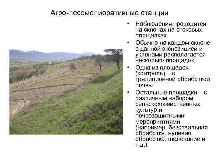Агро-лесомелиоративные станции     • Наблюдения проводятся     на