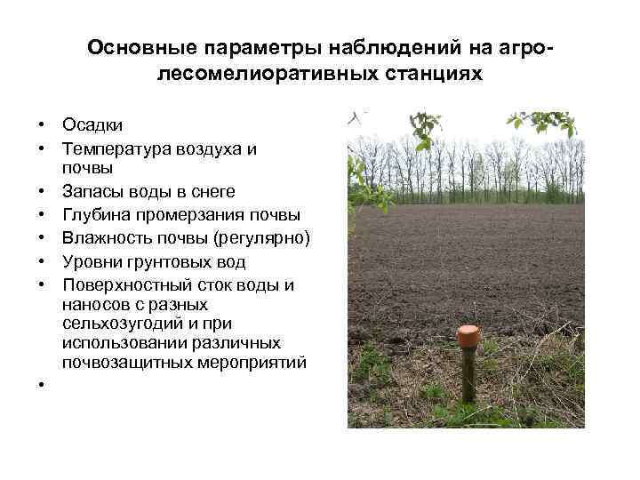  Основные параметры наблюдений на агро-  лесомелиоративных станциях  • Осадки • Температура