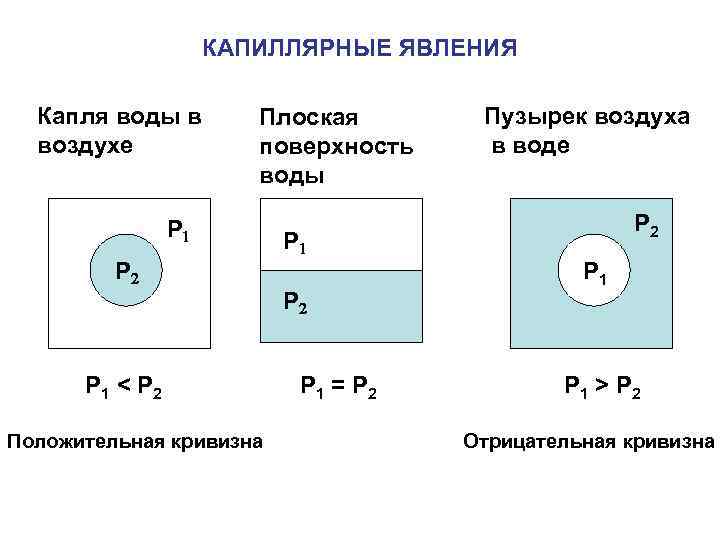 КАПИЛЛЯРНЫЕ ЯВЛЕНИЯ Капля воды в воздухе Плоская поверхность воды P 1 P 2 P