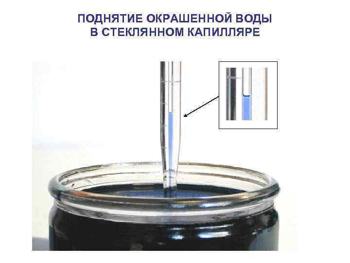 ПОДНЯТИЕ ОКРАШЕННОЙ ВОДЫ В СТЕКЛЯННОМ КАПИЛЛЯРЕ 