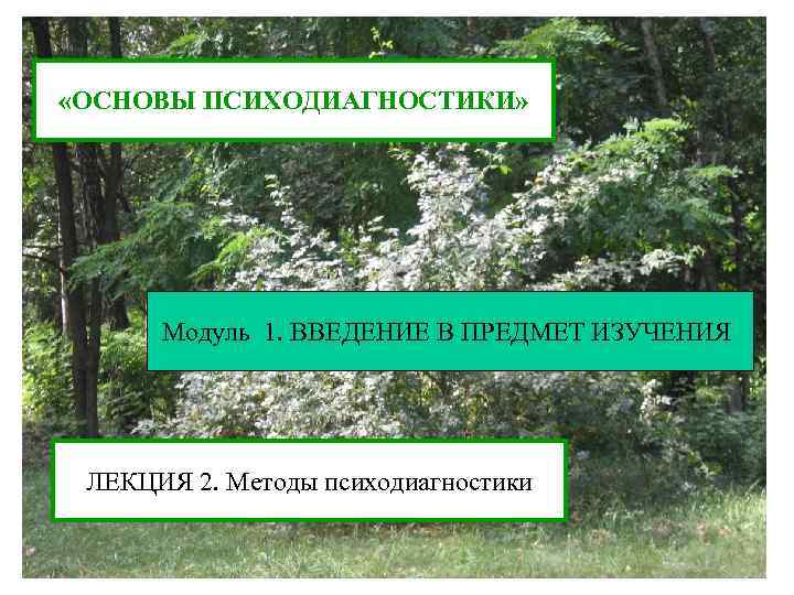  «ОСНОВЫ ПСИХОДИАГНОСТИКИ» Модуль 1. ВВЕДЕНИЕ В ПРЕДМЕТ ИЗУЧЕНИЯ ЛЕКЦИЯ 2. Методы психодиагностики 