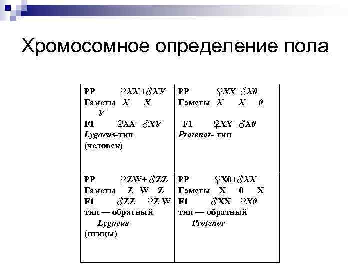 Хромосомное определение пола РР ♀ХХ +♂ХУ Гаметы Х Х У F 1 ♀ХХ ♂ХУ