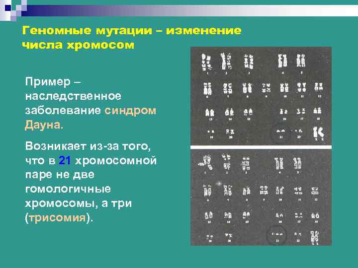 Геномные мутации – изменение числа хромосом Пример – наследственное заболевание синдром Дауна. Возникает из-за