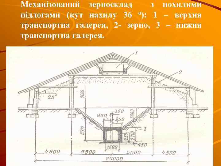 Механізований зерносклад з похилими підлогами (кут нахилу 36 о): 1 – верхня транспортна галерея,
