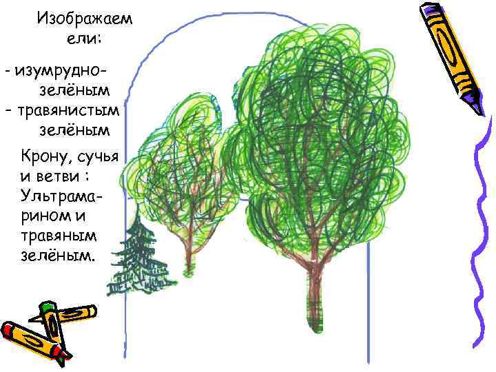Изображаем ели: - изумруднозелёным - травянистым зелёным Крону, сучья и ветви : Ультрамарином и