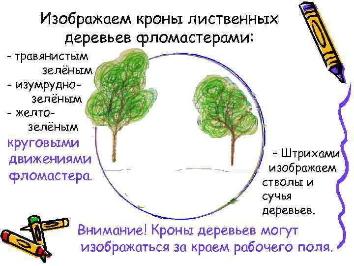 Изображаем кроны лиственных деревьев фломастерами: - травянистым зелёным - изумруднозелёным - желтозелёным круговыми движениями