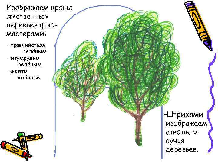 Изображаем кроны лиственных деревьев фломастерами: - травянистым зелёным - изумруднозелёным - желтозелёным –Штрихами изображаем