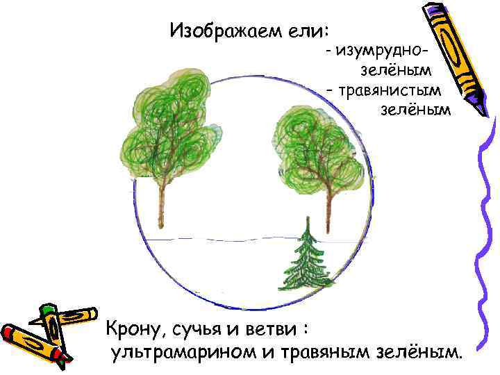 Изображаем ели: - изумруднозелёным - травянистым зелёным Крону, сучья и ветви : ультрамарином и