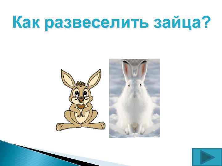 Как развеселить зайца? 