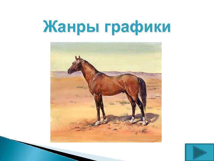 Жанры графики 