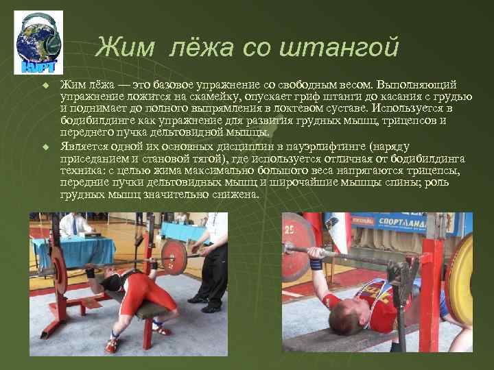 Жим лёжа со штангой u u Жим лёжа — это базовое упражнение со свободным