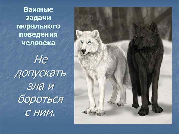  Важные задачи морального поведения человека Не допускать зла и бороться с ним. 