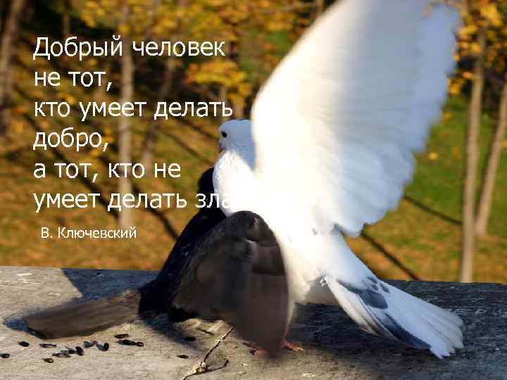 Добрый человек не тот, кто умеет делать добро, а тот, кто не умеет делать