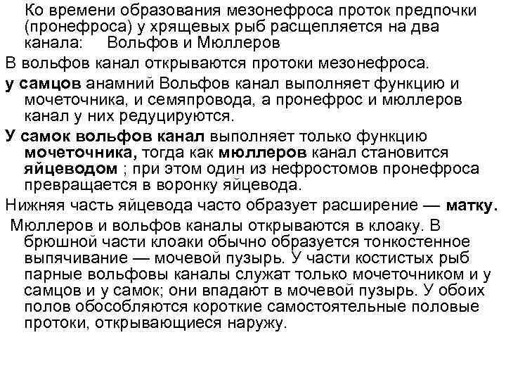  Ко времени образования мезонефроса проток предпочки (пронефроса) у хрящевых рыб расщепляется на два