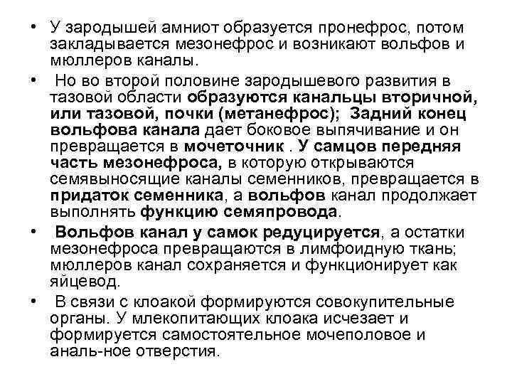  • У зародышей амниот образуется пронефрос, потом закладывается мезонефрос и возникают вольфов и