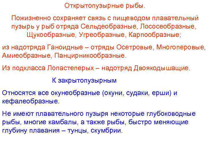 Открытопузырные рыбы. Пожизненно сохраняет связь с пищеводом плавательный пузырь у рыб отряда Сельдеобразные, Лососеобразные,