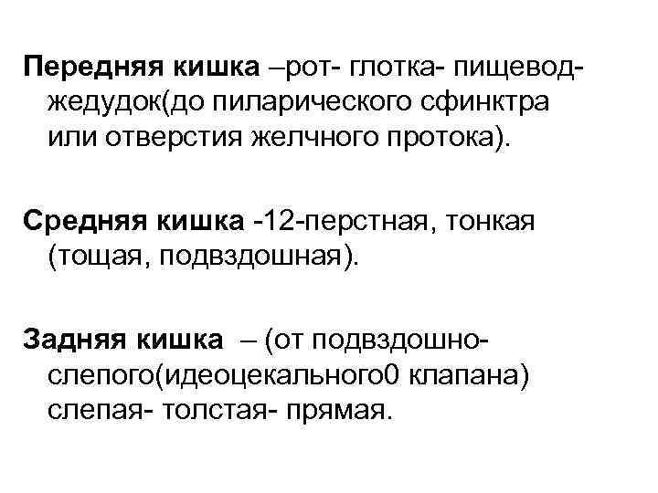 Передняя кишка –рот- глотка- пищеводжедудок(до пиларического сфинктра или отверстия желчного протока). Средняя кишка -12