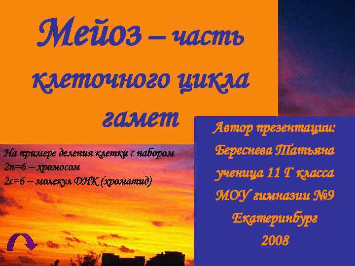 Мейоз – часть клеточного цикла гамет Автор презентации: На примере деления клетки с набором