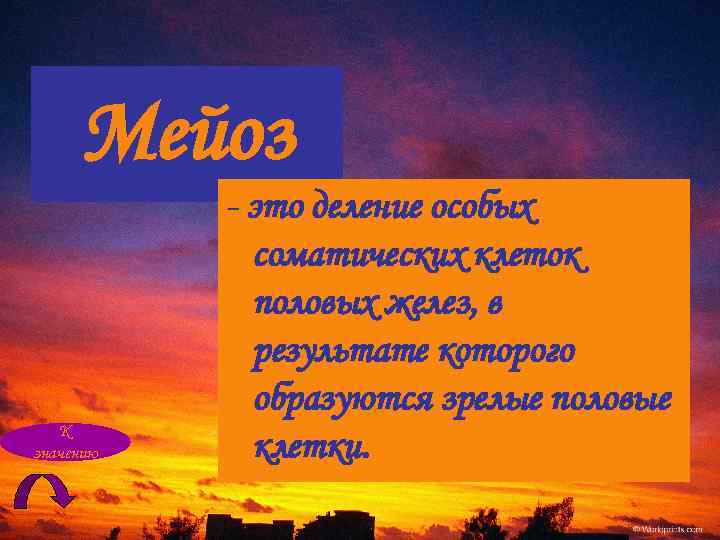 Мейоз К значению - это деление особых соматических клеток половых желез, в результате которого