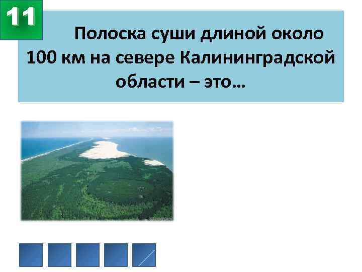 11 Полоска суши длиной около 100 км на севере Калининградской области – это… 