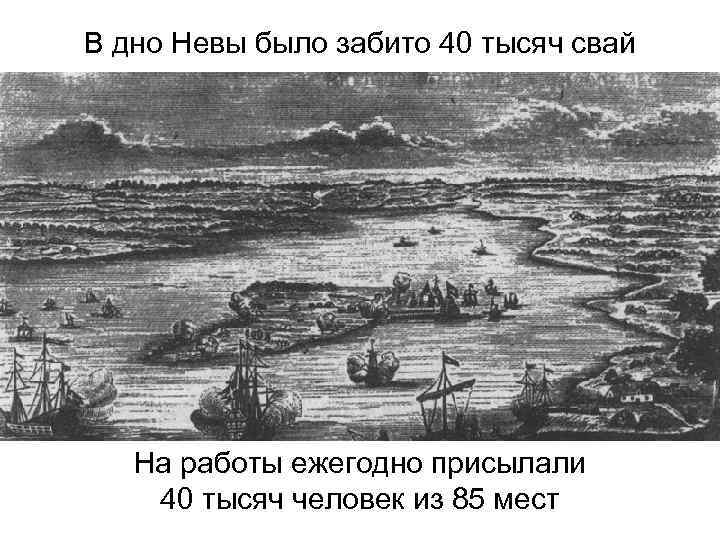 В дно Невы было забито 40 тысяч свай На работы ежегодно присылали 40 тысяч