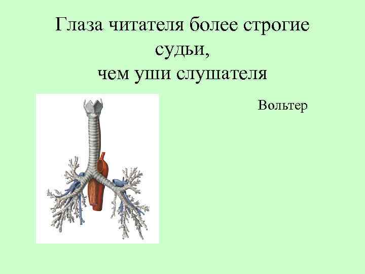 Глаза читателя более строгие судьи, чем уши слушателя Вольтер 