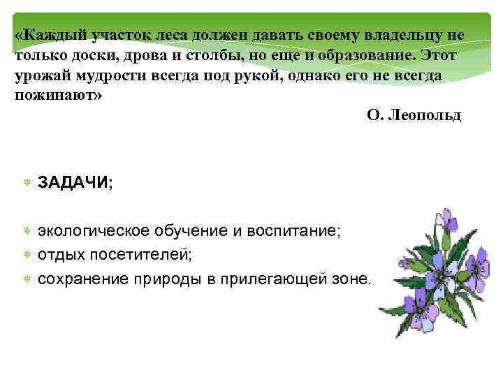  «Каждый участок леса должен давать своему владельцу не только доски, дрова и столбы,