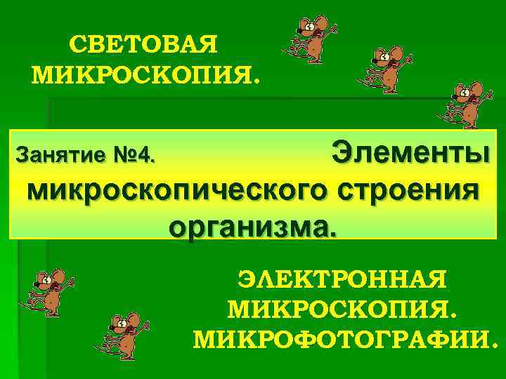 СВЕТОВАЯ МИКРОСКОПИЯ. Элементы микроскопического строения организма. Занятие № 4. ЭЛЕКТРОННАЯ МИКРОСКОПИЯ. МИКРОФОТОГРАФИИ. 