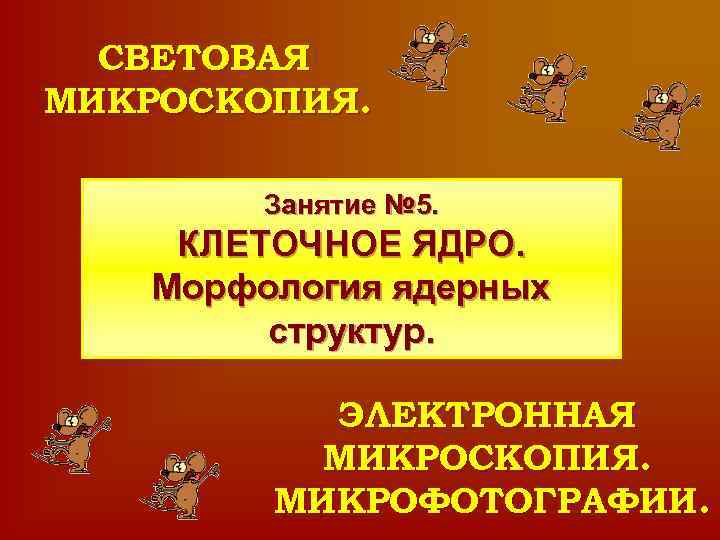 СВЕТОВАЯ МИКРОСКОПИЯ. Занятие № 5. КЛЕТОЧНОЕ ЯДРО. Морфология ядерных структур. ЭЛЕКТРОННАЯ МИКРОСКОПИЯ. МИКРОФОТОГРАФИИ. 