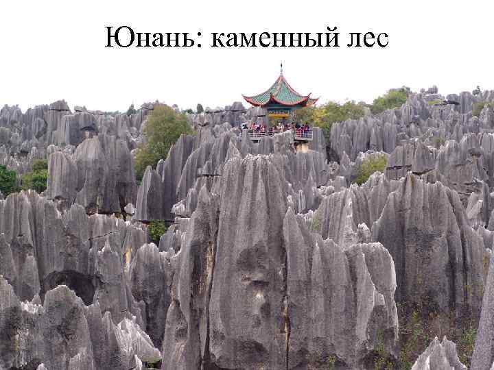  • Центральная Азия 