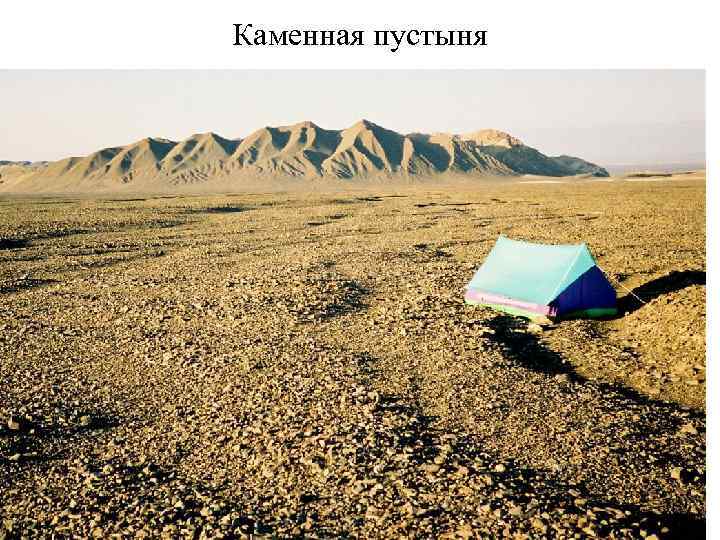 Пустыня Такла-Макан 