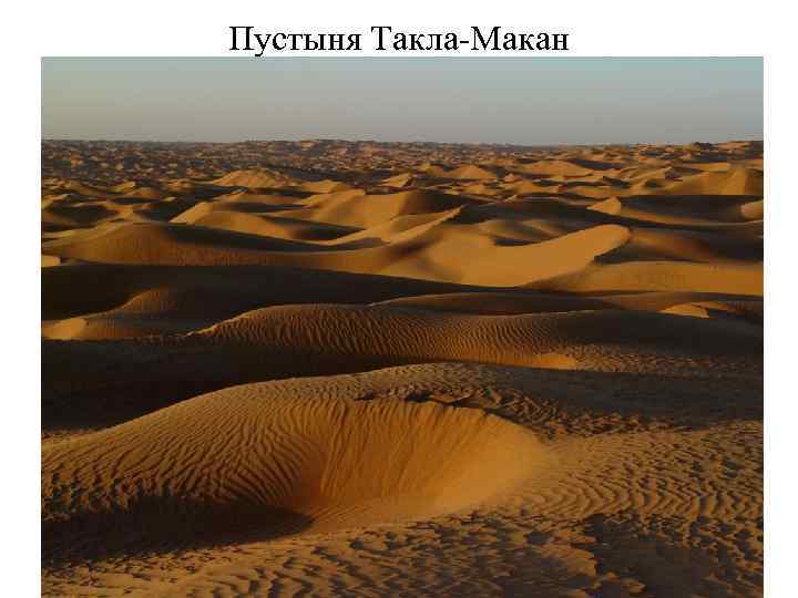 Тянь-Шань, бамбук 