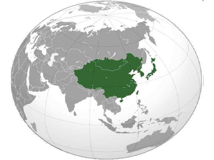  • Естественная растительность:  • Леса: 25 тыс. видов растений, свыше 5 тыс.