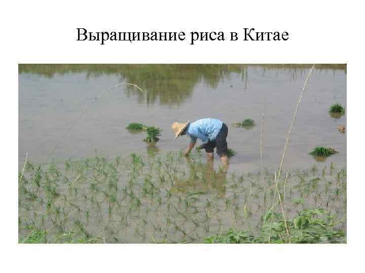 Мешок с перцем 