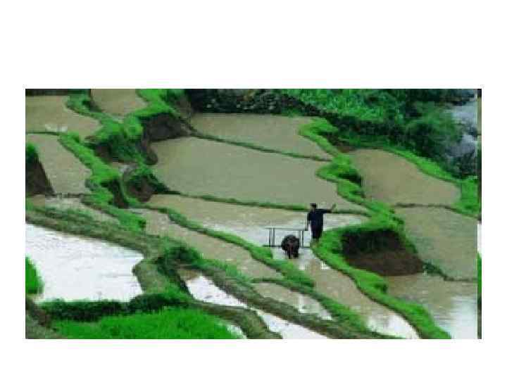  5. Материальная культура народов • Типы жилищ: долговременные жилища  земледельцев и легкие