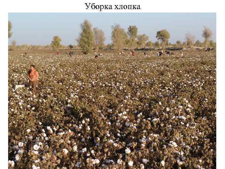 Самое высокое и одно из самых больших в Китае земляное здание (волость Гаобэйсян «Ицзинлоу»