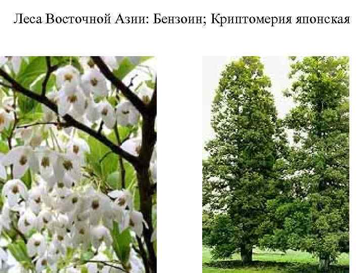 Гроты Лунмыня 